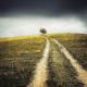 country road