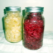 jars of sauerkraut