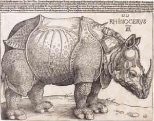 Albrecht Durer's rhinoceros illustration